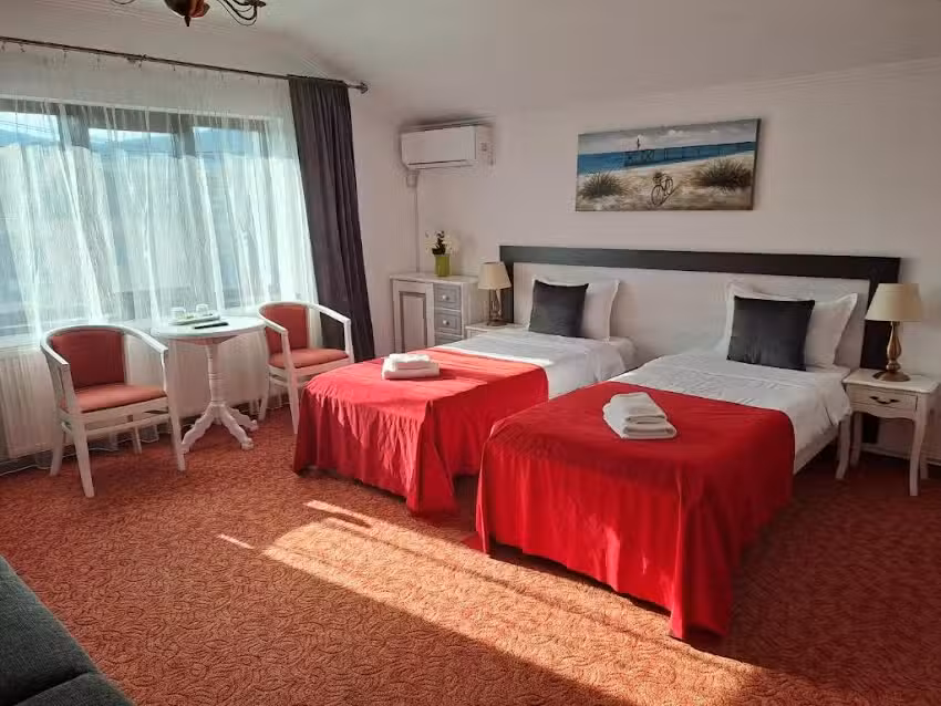 Pensiunea Alexander House