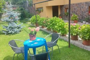 Pensiunea Alexandra Livia