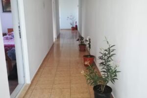 Pensiunea „Alexia”