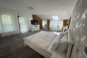 Pensiunea AlexOlar NewOne