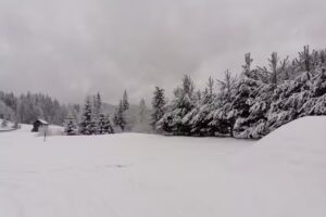 Pensiunea Alvy Iezer