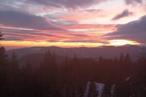 Pensiunea AMALIA Transalpina