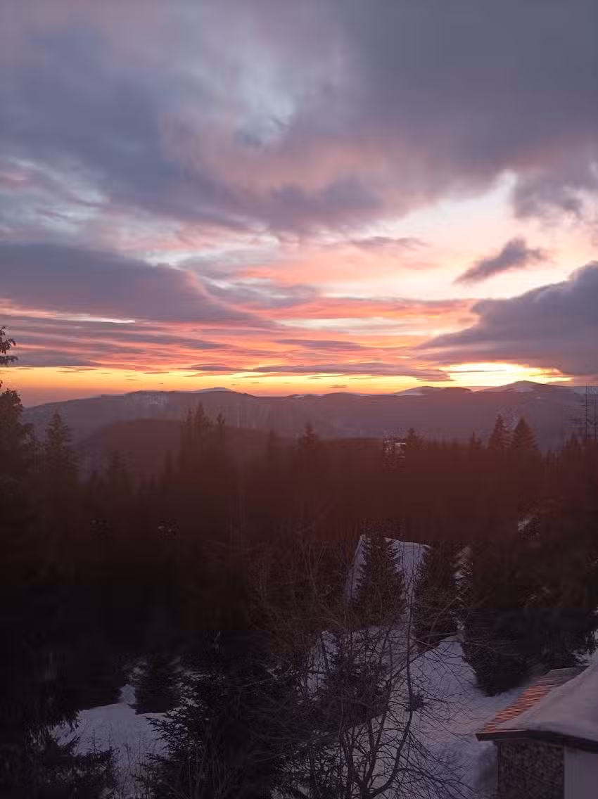 Pensiunea AMALIA Transalpina