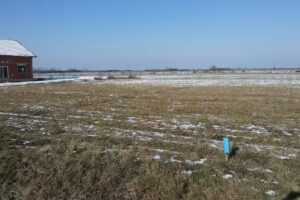 Pensiunea Ana Odoreu