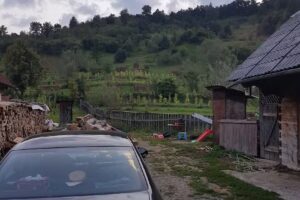 Pensiunea Ana Orghici