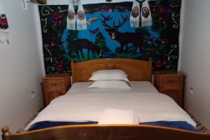 Pensiunea Ancuta din Botiza