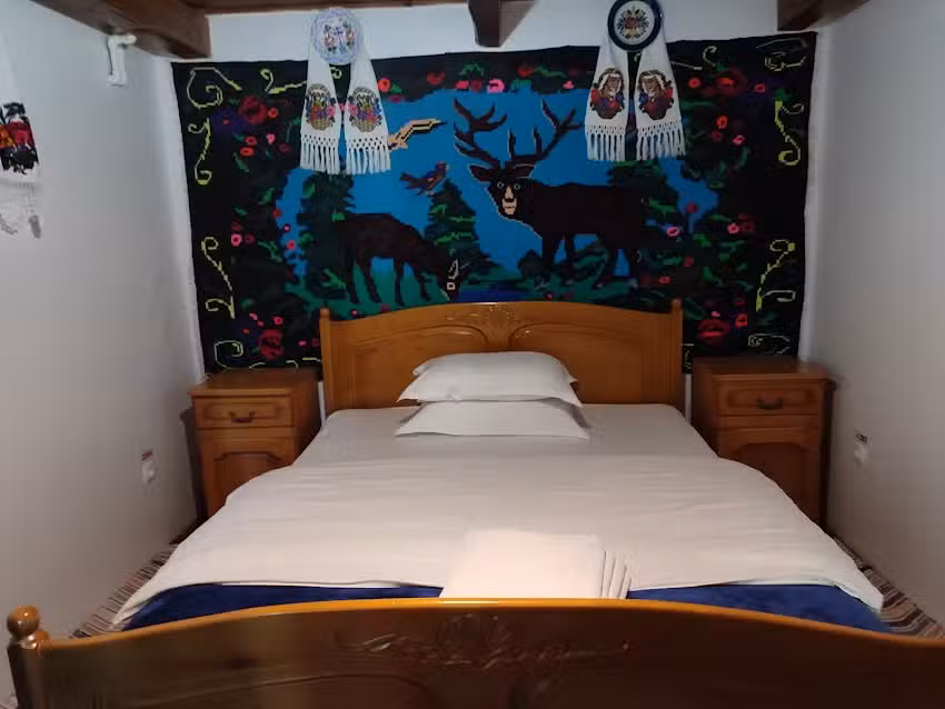 Pensiunea Ancuta din Botiza