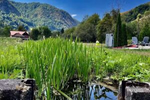 Pensiunea Andreea Remeti