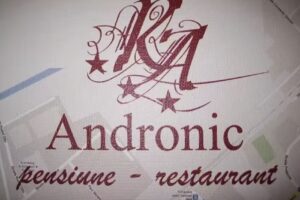 Pensiunea Andronic