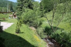 Pensiunea Arnica Montana