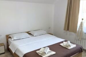 Pensiunea Axenia Ale