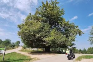 Pensiunea Baba Marina