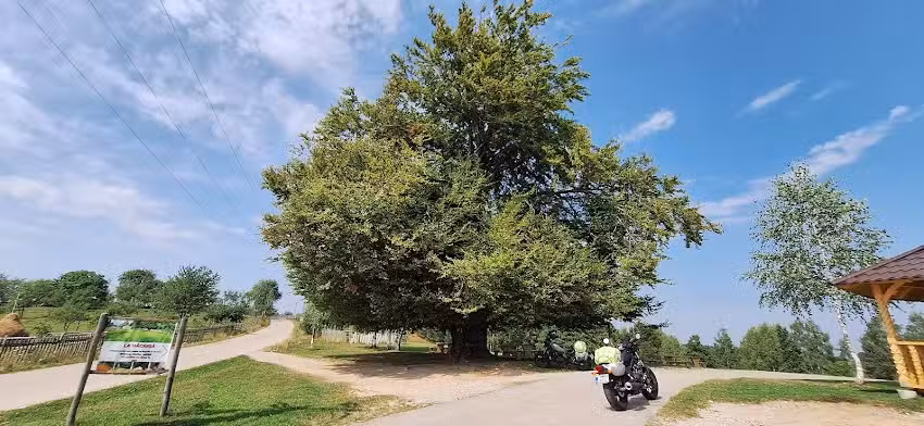 Pensiunea Baba Marina