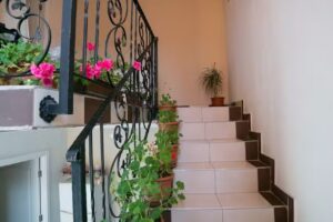 Pensiunea Bella Arad