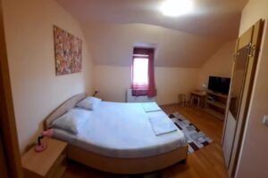 Pensiunea Bendorfeanu