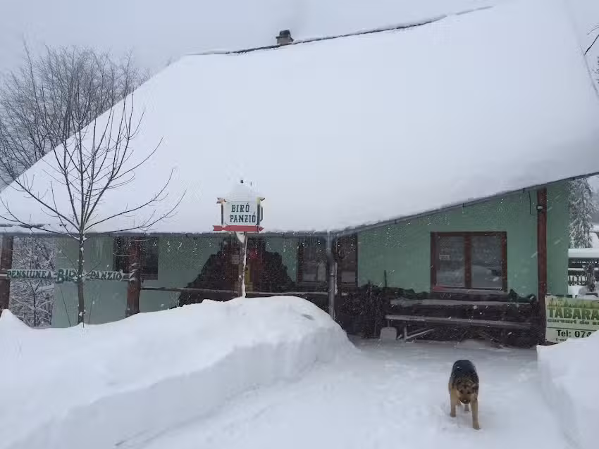 Pensiunea Biro