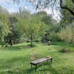 Pensiunea Bradul de Argint