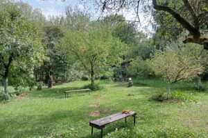 Pensiunea Bradul de Argint