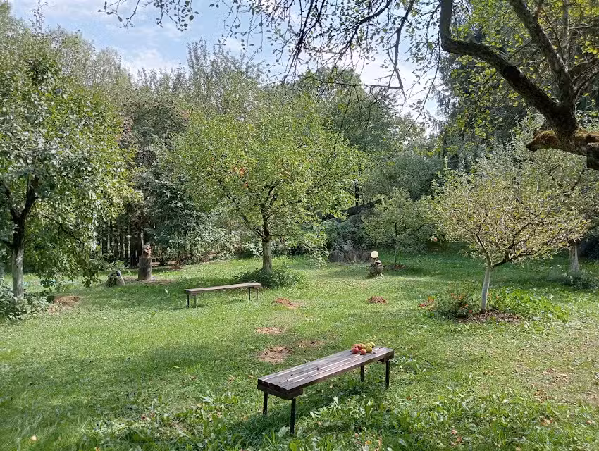 Pensiunea Bradul de Argint