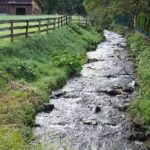 Pensiunea Bujor de Munte