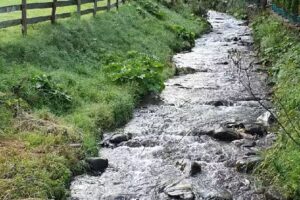 Pensiunea Bujor de Munte