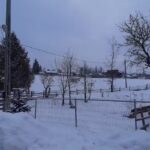 Pensiunea Bujor de Munte