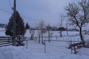 Pensiunea Bujor de Munte