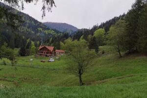 Pensiunea Bursucarie