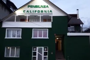 Pensiunea California проживання та харчування