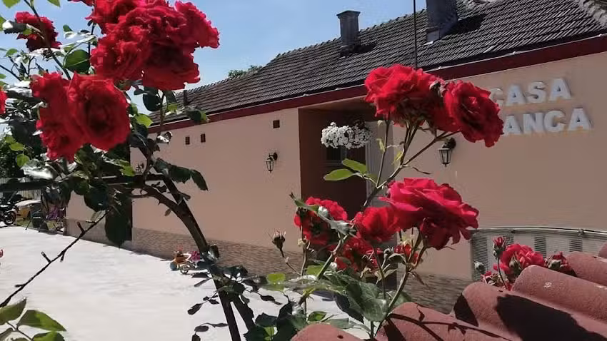 Pensiunea Casa Bianca