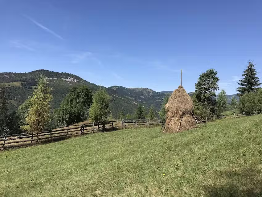 Pensiunea Casa Bradeana