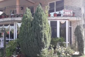 Pensiunea Casa Cornelia Mahmudia