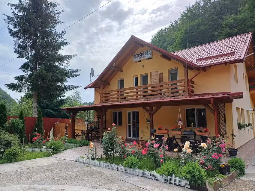 Pensiunea Casa Cosmin