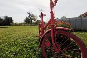 Pensiunea Casa Dalya