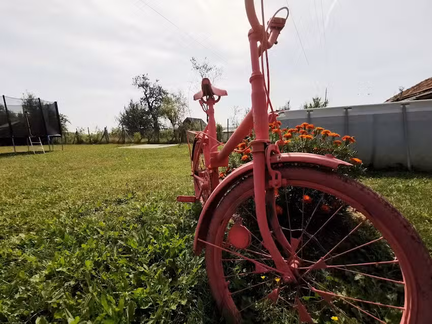 Pensiunea Casa Dalya