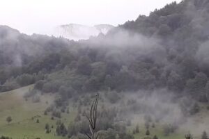 Pensiunea casa de vacanta Rustic