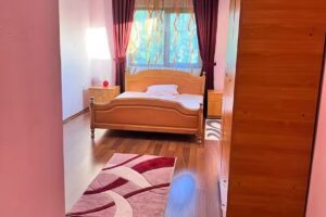 Pensiunea Casa Emanuel