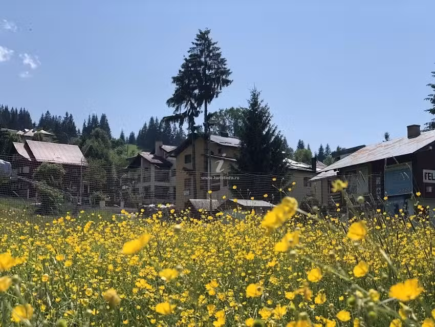 Pensiunea Casa Frasin