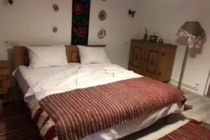 Pensiunea Casa Godja