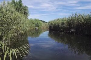 Pensiunea Casa Ivana