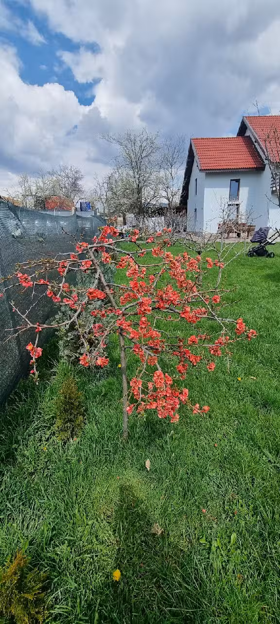 Pensiunea Casa Mădă