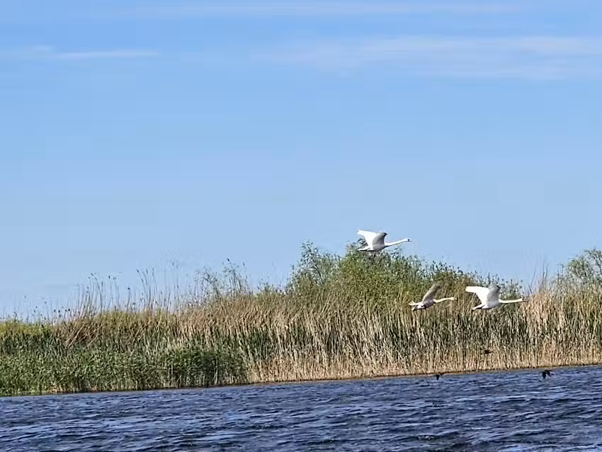 PENSIUNEA CASA MUNTEANU