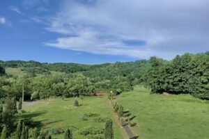 Pensiunea Casa Pădurii