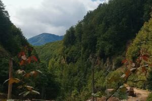 Pensiunea Casa Păstrăvarului