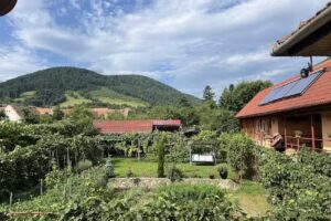 Pensiunea CASA SERBAN