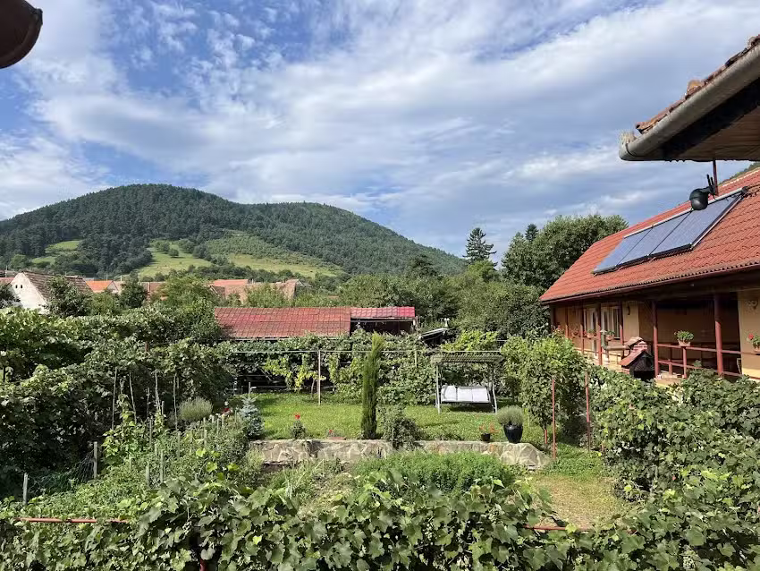 Pensiunea CASA SERBAN