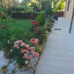 Pensiunea Casa Soarelui