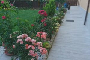 Pensiunea Casa Soarelui