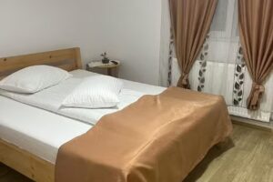 Pensiunea Casa Vanatorului