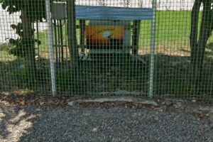 Pensiunea Casa Vanatorului